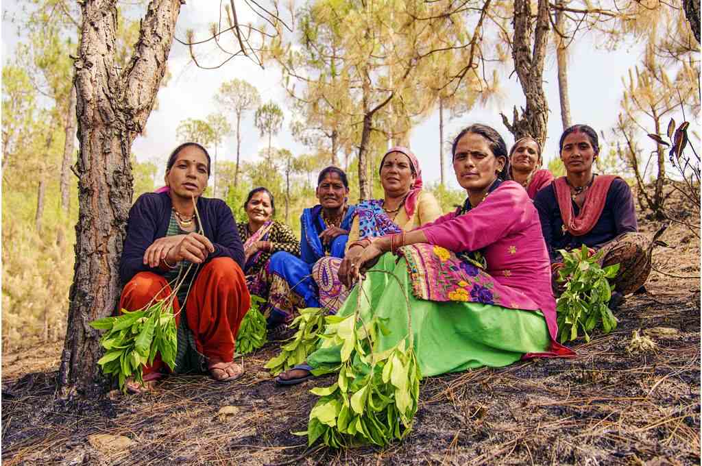 उत्तराखंड के अल्मोड़ा जिले में शीतलाखेत को तबाह करने वाली कई जंगल की आग से झुलसे जंगल के एक हिस्से के आसपास एक महिला समूह के सदस्य इकट्ठा होते हैं -जलवायु परिवर्तन