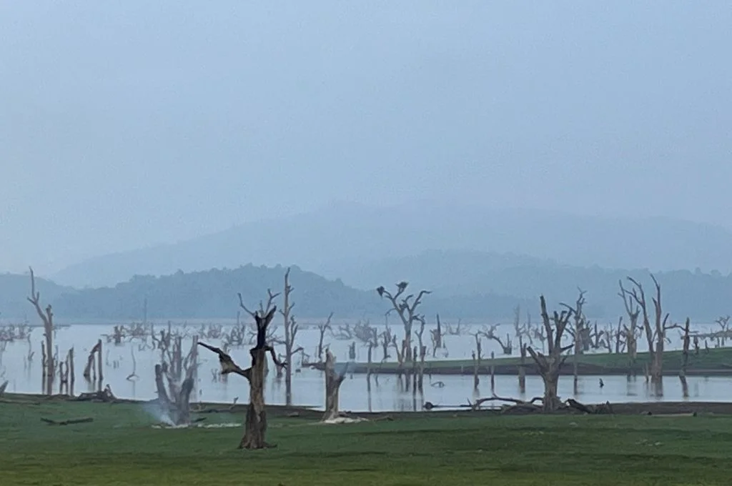 झारखंड के सोनुआ ब्लॉक में कई पेड़ों के जलमग्न होने के कारण पीछे छूटे उजाड़ परिदृश्य को दर्शाती एक तस्वीर_शिक्षा झारखंड