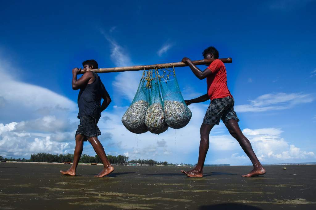 लकड़ी के डंडे पर लटके जाल में मछलियां ले जा रहे दो किसान-मछुआरा समुदाय आजीविका