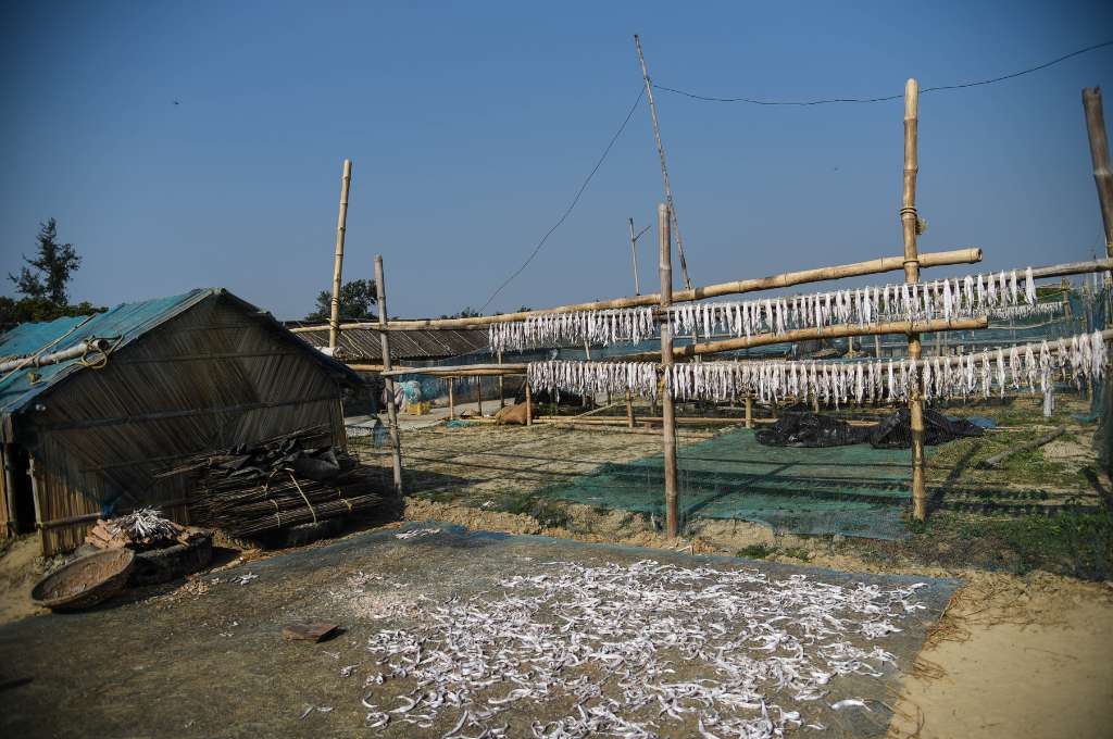 बाईं ओर एक झोपड़ी। झोंपड़ी के बगल में लकड़ी के खंभों पर और झोपड़ी के सामने फर्श पर मछलियां लटकी हुई हैं-मछुआरा समुदाय आजीविका