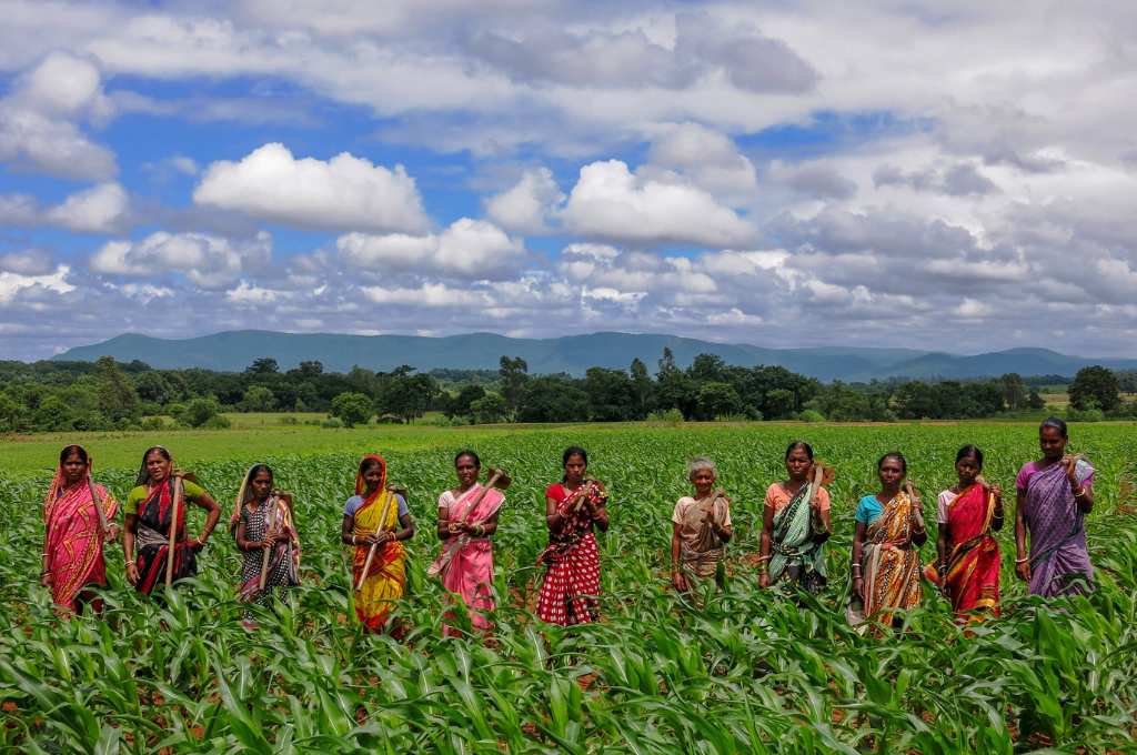 खेत में कुदाल लेकर एक क़तार में खड़ी कुछ महिला किसान-समुदाय जल संरक्षण