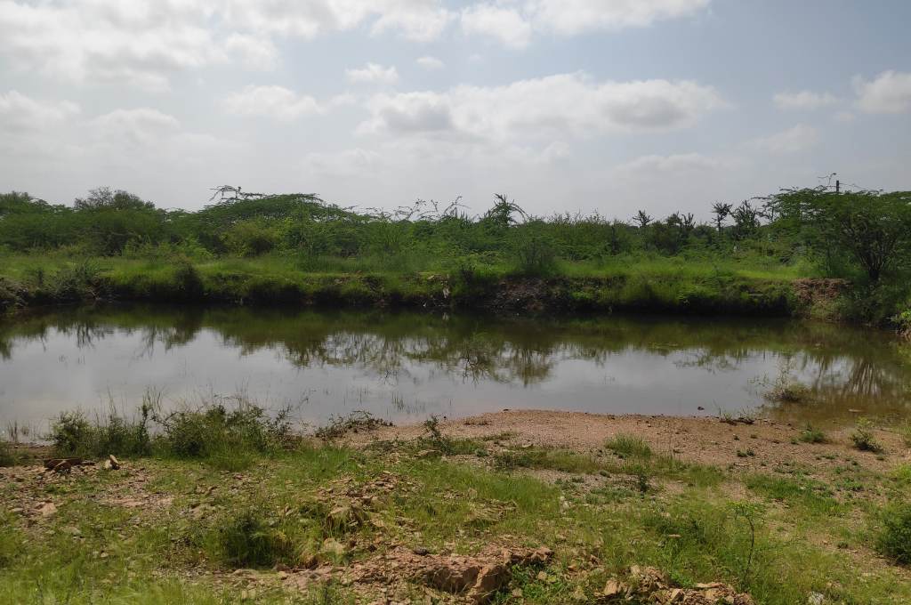 एक तालाब और हरी घास_सार्वजनिक भूमि संरक्षण