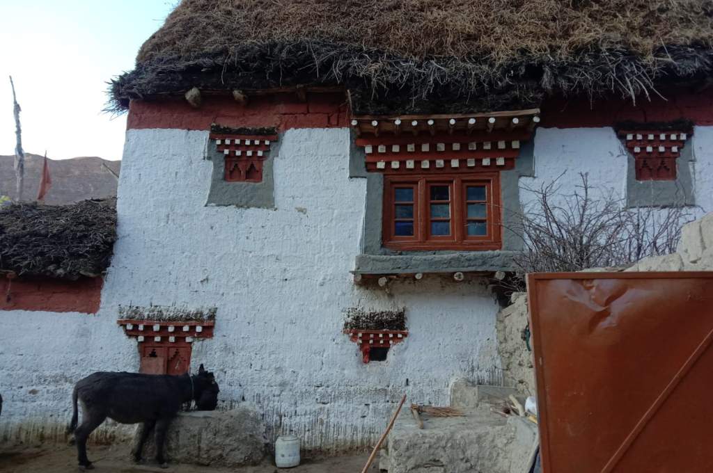 मवेशियों के बाड़े वाला एक पारंपरिक घर_वास्तुकला