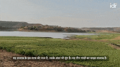 खेत में खड़े तीन किसान_मूंग की खेती