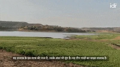 खेत में खड़े तीन किसान_मूंग की खेती