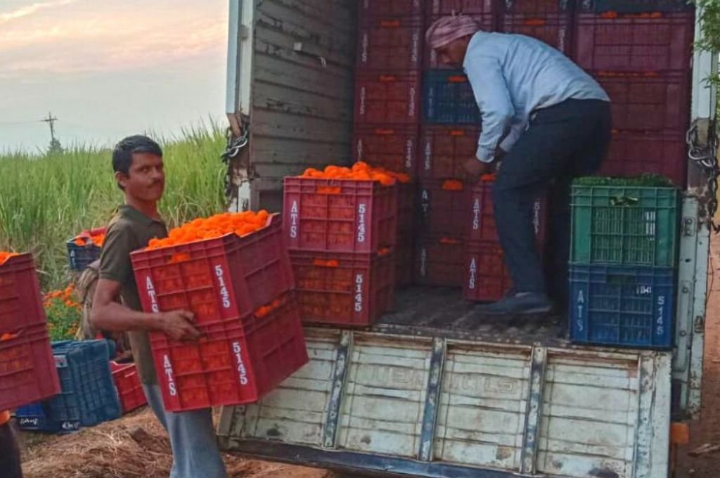 बाजार में बिकने के लिए जाते फूल_फूलों का गांव