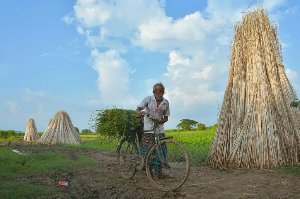 खेतों के बीच साइकिल पर हरी घास ले जाते एक बुजुर्ग_सर्कुलर इकॉनमी