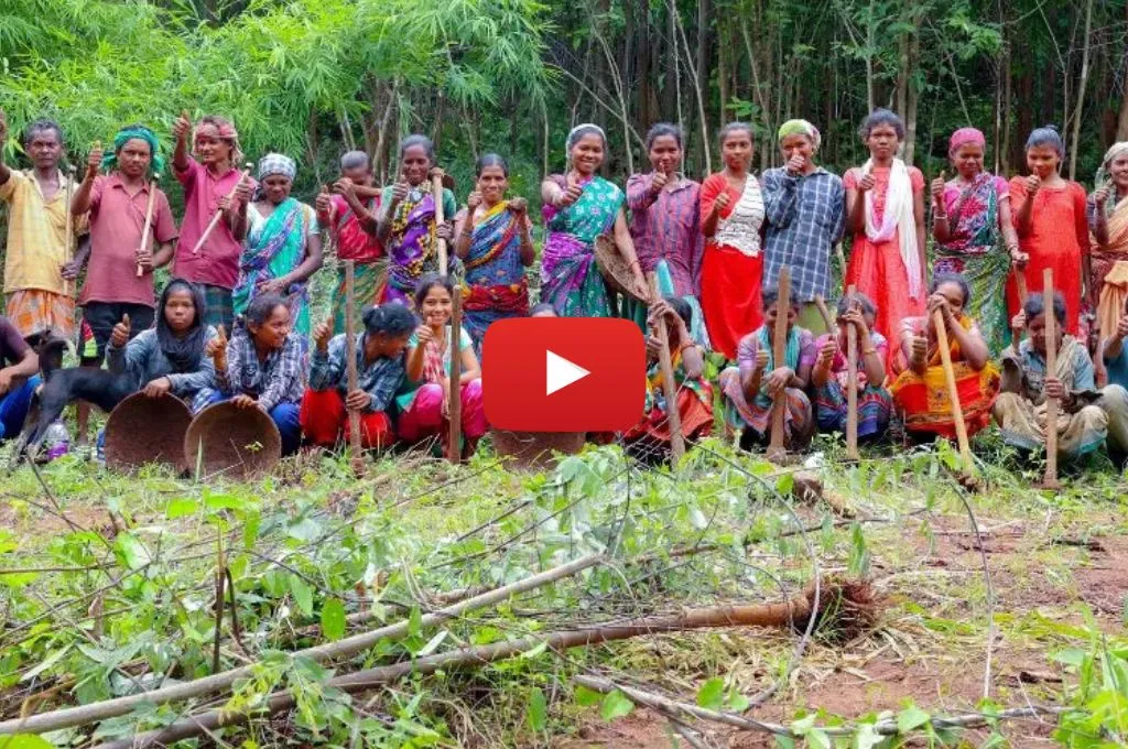 जंगल में एक साथ जुटे महिलाएं और पुरुष_कॉमन्स