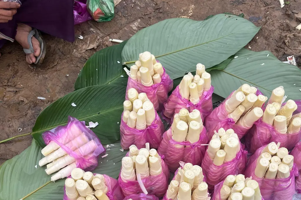 चकमा समुदाय के सुपरफूड मेली-एमिली में छुपा विज्ञान