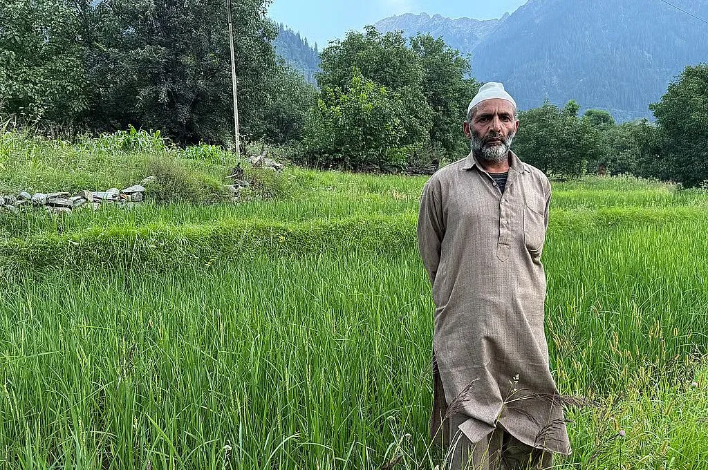 पहाड़ों के बीच धान के खेत में खड़ा कश्मीरी किसान_चावल की खेती