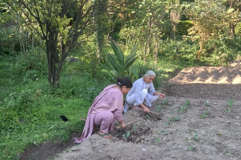 दो महिलायें खेती में काम करती हुई_पारंपरिक ज्ञान