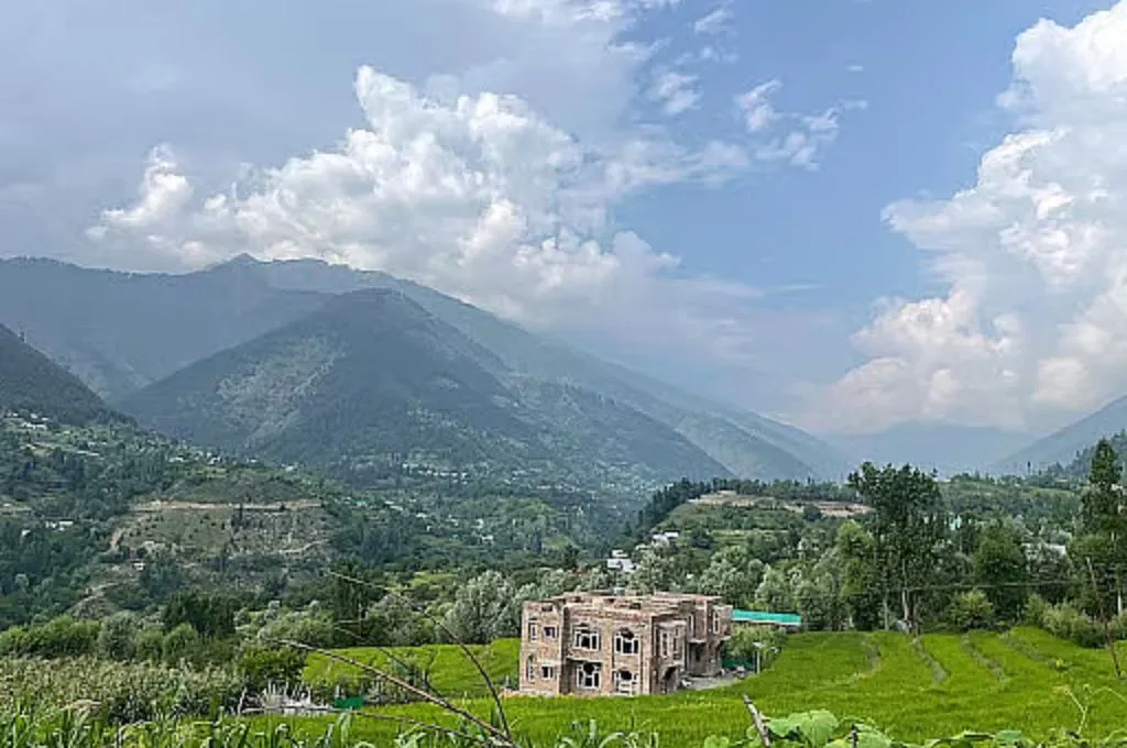 कश्मीर में खेतों और पहाड़ों में बना एक घर_चावल की खेती