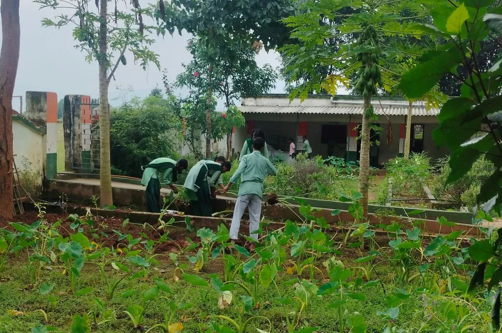 एक विद्यालय में कुछ विद्यार्थी किचन गार्डनिंग करते हुए_शिक्षा