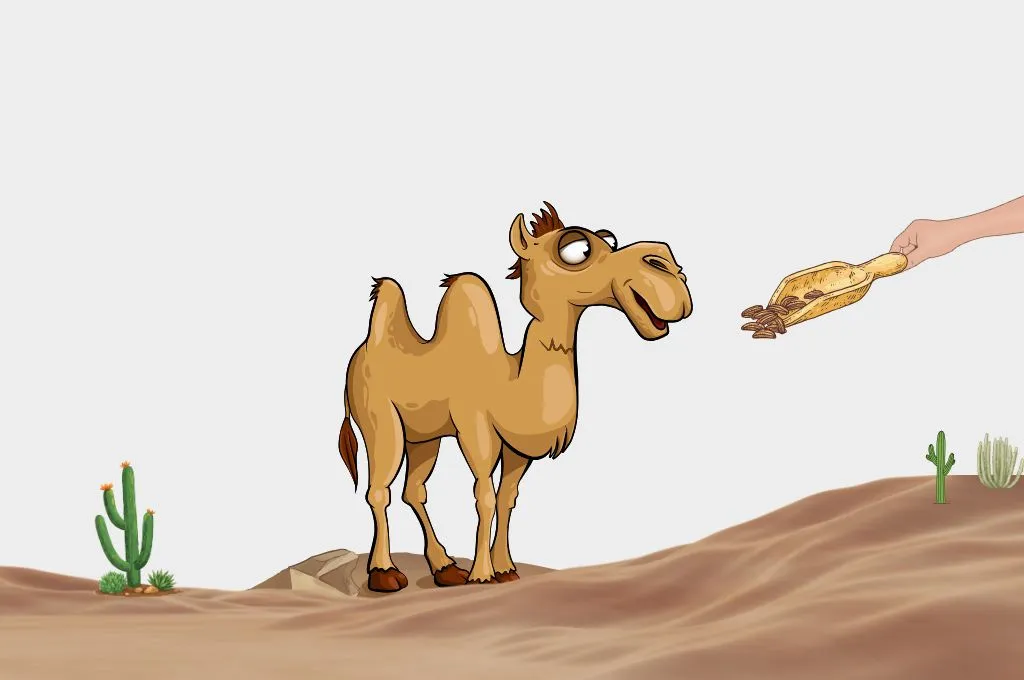 रेगिस्तान में ऊंट को जीरा खिलाते हुए _मुहावरे