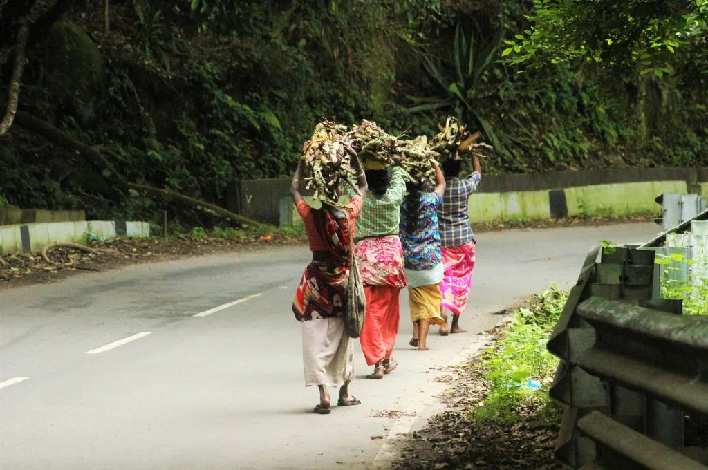 सिर पर लकड़ियों का गट्ठा उठाकर ले जाती आदिवासी महिलाएं_बाज़ार