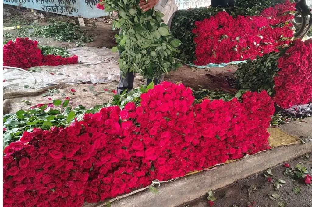 बहुत सारे फूल_फूलों की खेती