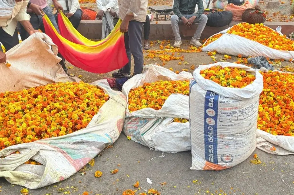 बाजार में फुल बेचते लोग_फूलों की खेती