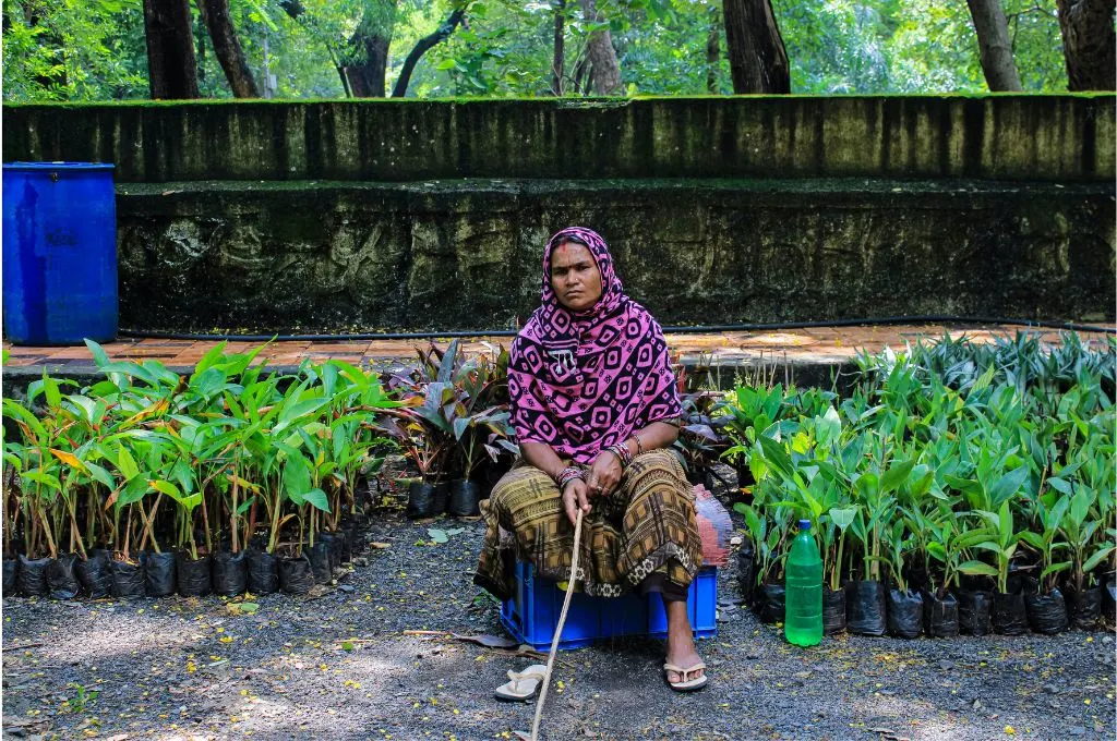 रोपाई के छोटे पौधों के पास बैठी एक महिला_कार्बन क्रेडिट   