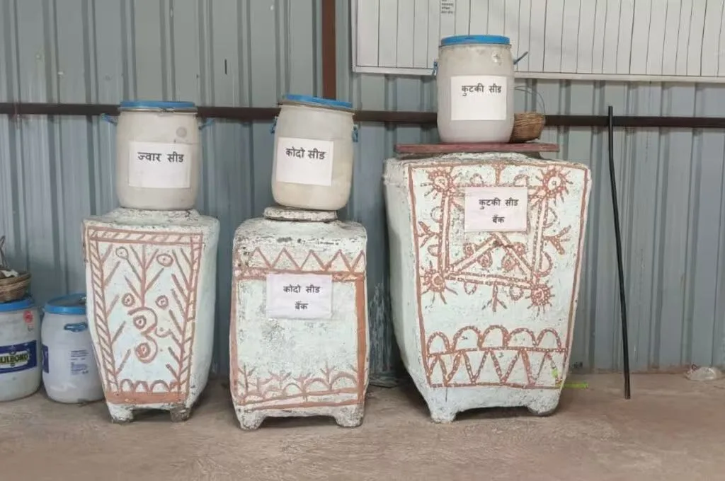 मिट्टी के बर्तनों में पारंपरिक बीजों का भंडारण_कोदो  