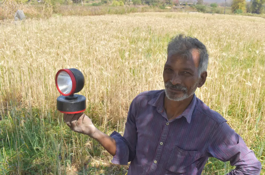 खेत में टार्च लाइट लिए खड़ा एक व्यक्ति_खेतीबाड़ी