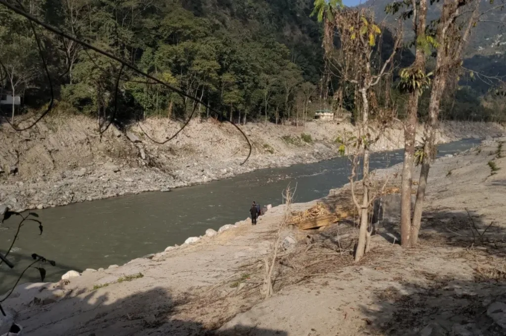 पेड़ों के बीच बहती नदी_नदियां